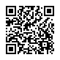 To view this 2023 Besler 3125 Big Timber MT from Platinum Auto Center, please scan this QR code with your smartphone or tablet to view the mobile version of this page.