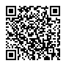 To view this 2021 DCT 81/2 x 30 GN 21K GVW Big Timber MT from Platinum Auto Center, please scan this QR code with your smartphone or tablet to view the mobile version of this page.